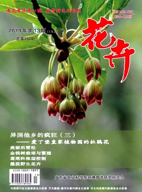 《花卉》