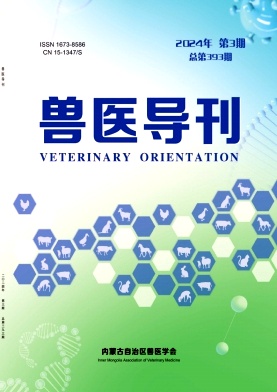 兽医导刊